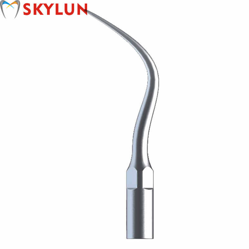 5PCS P4 Dental Ultrasonic Scal - Teeth Whitening Dental review and price