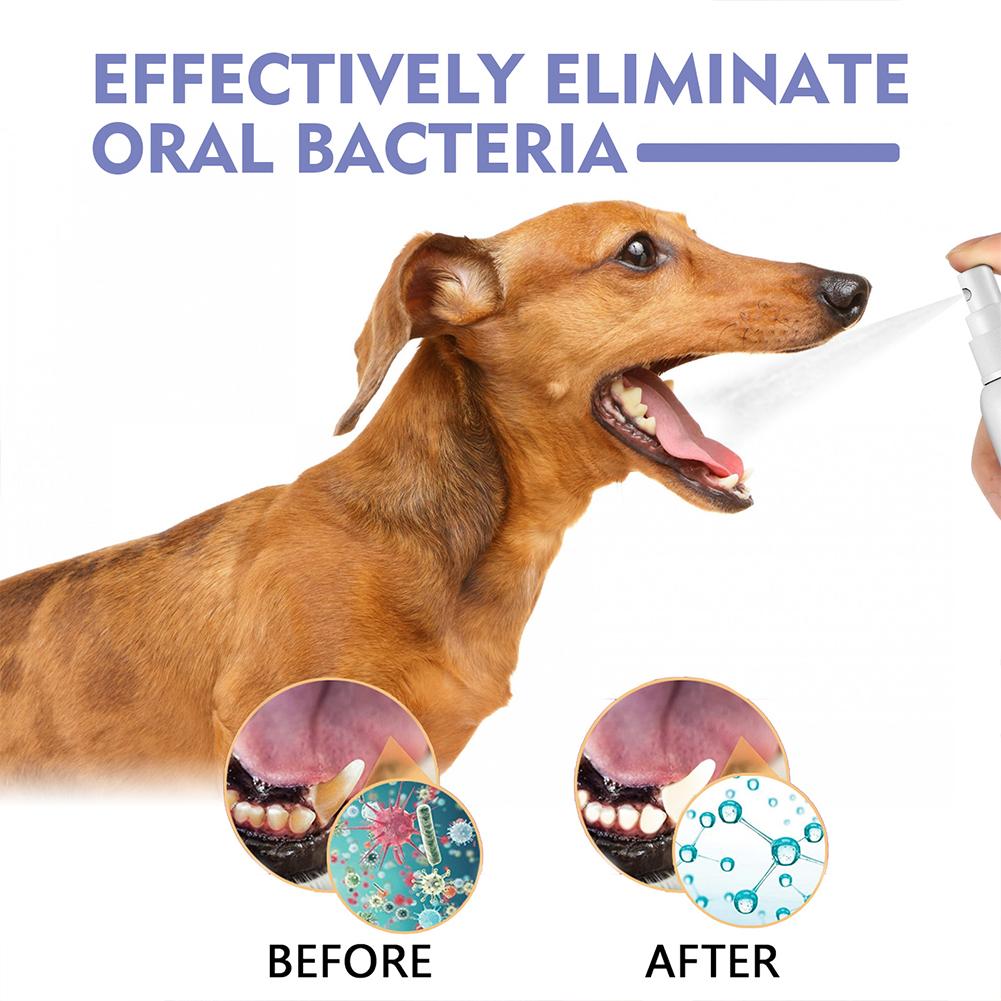 Pet Oral Cleaning Spray Mouth  - Colgate Whitening Teeth review and price