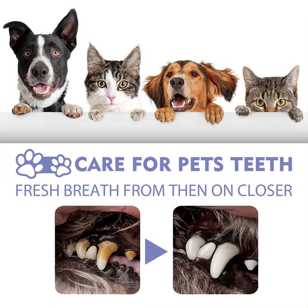 Pet Oral Cleaning Spray Mouth  - Colgate Whitening Teeth review and price